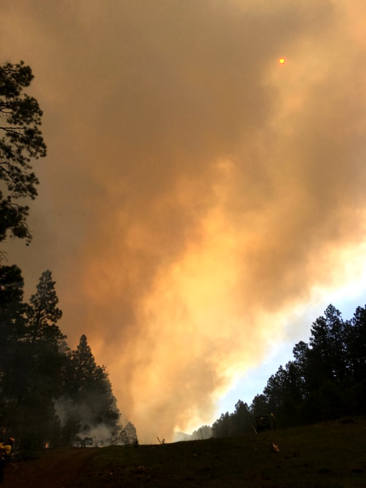 A-1 Prescribed Burn (May 3, 2017)