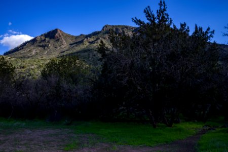 Homestead at Fossil Creek