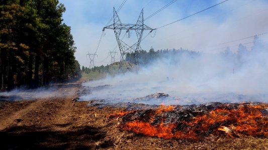 Camillo Fire 2015-06-17: Power Lines Near Mormon Lake