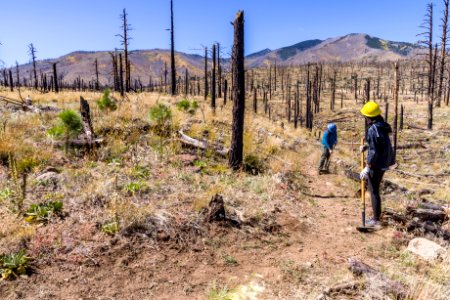 Deer Hill Trail: National Public Lands Day 2017
