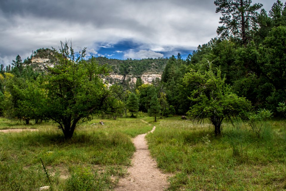 Cave Springs Campground