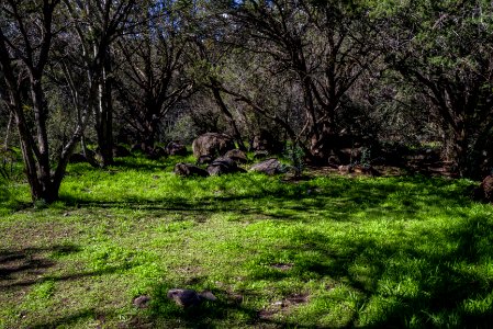 Homestead at Fossil Creek