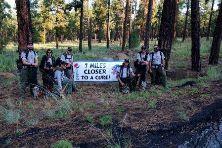 Climb to Conquer Cancer Flagstaff