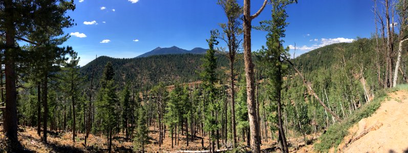 Flagstaff Watershed Protection Project