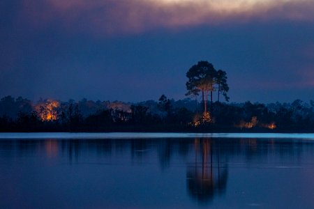 Fire in Everglades National Park