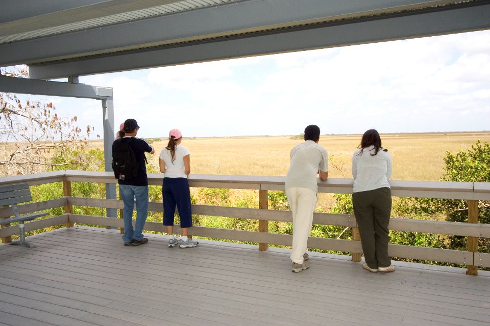 Pay-Hay-Okee Boardwalk (15), NPSPhoto