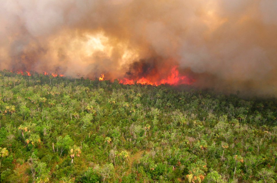 Coastal Prairie Burn34