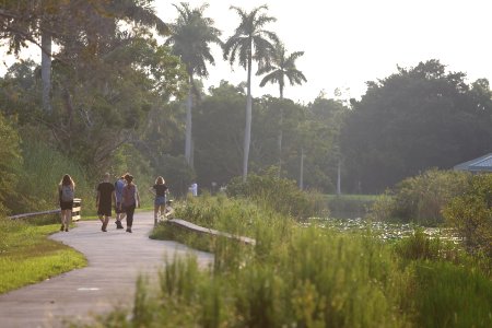 Visitors hiking Anhinga Trail