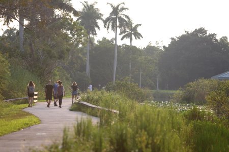 Visitors hiking Anhinga Trail photo