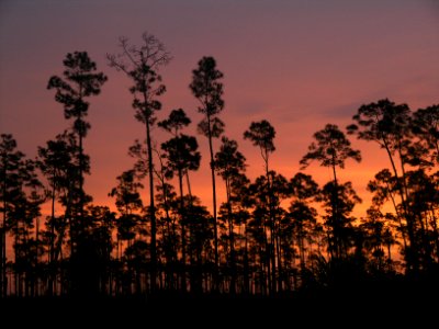 Pinelands Sunrise (3) NPSPhoto, Sarah Zenner