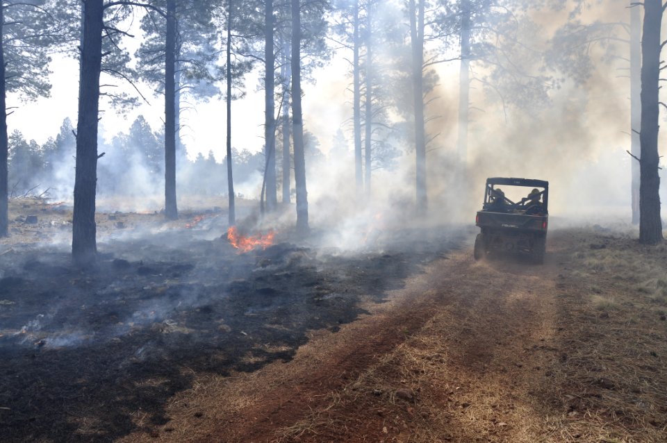Woody Ridge Rx Burn 4-7-16