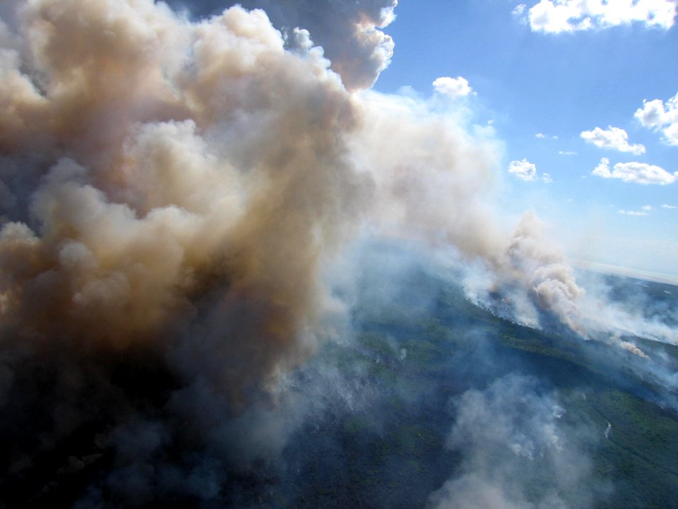 Coastal Prairie Burn48