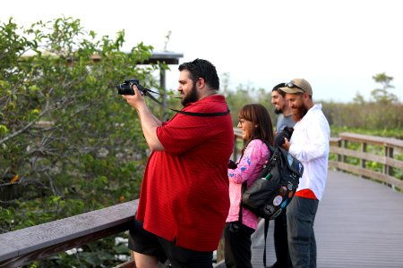 Visitors on Anhinga Trail boardwalk photo
