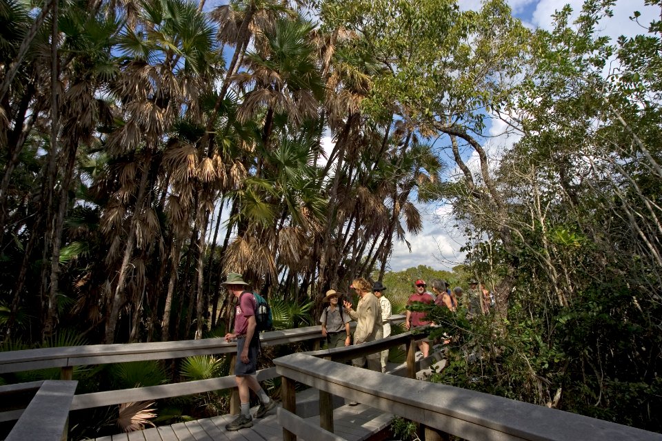 Mahogany Hammock Boardwalk (5), NPSPhoto