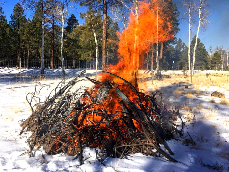 Pile burning in Aspen/Elk Exclosure