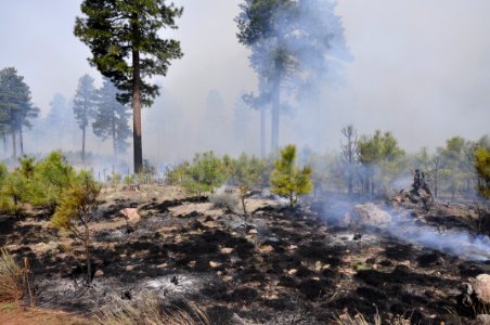 Woody Ridge Rx Burn 4-7-16