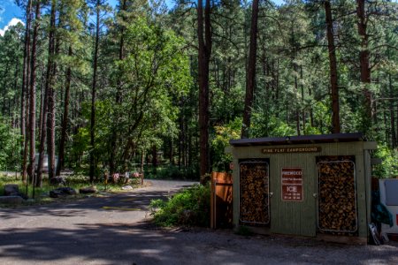 Pine Flat Campground