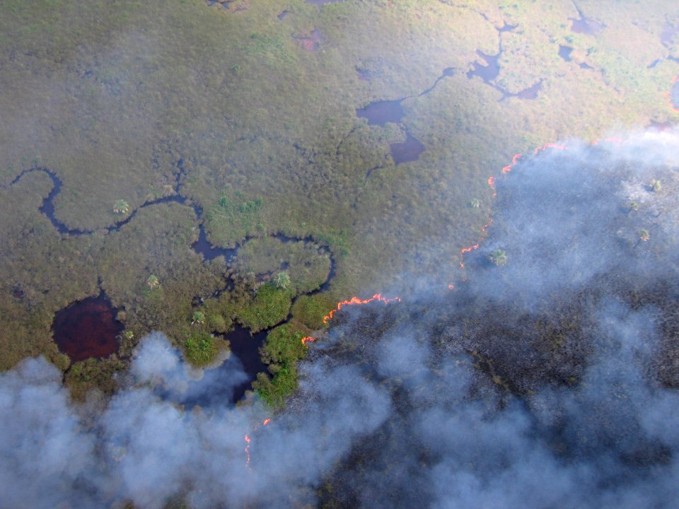 Coastal Prairie Burn38