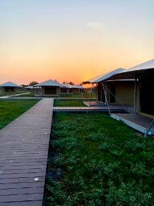 Flamingo Eco-Tents