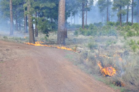 Woody Ridge Rx Burn 4-7-16
