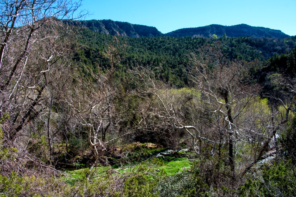 Fossil Springs Trail No. 18