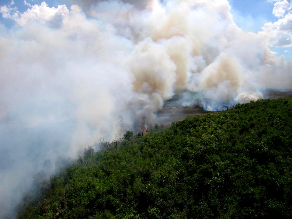 Coastal Prairie Burn8