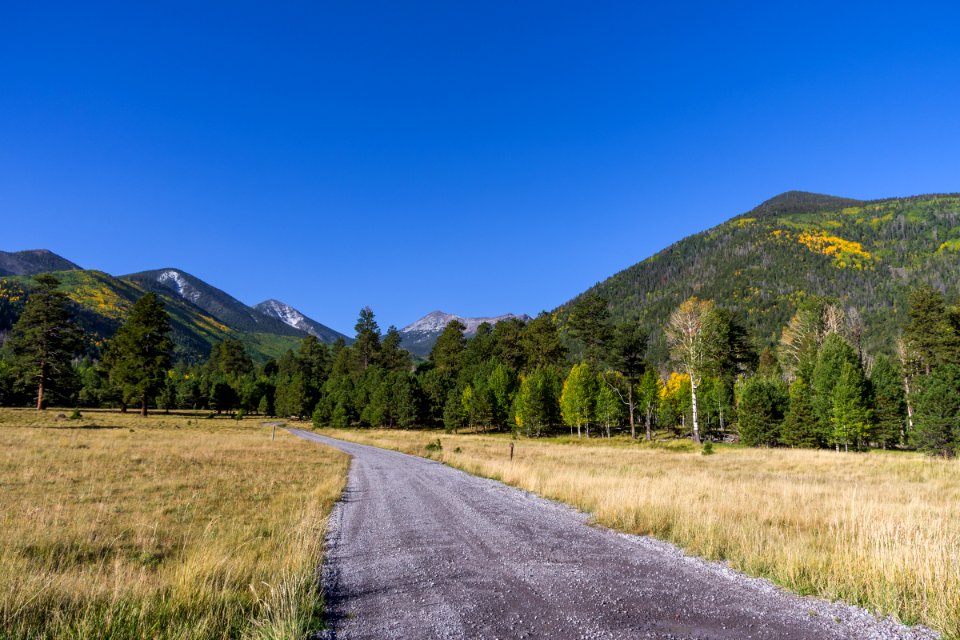 Lockett Meadow