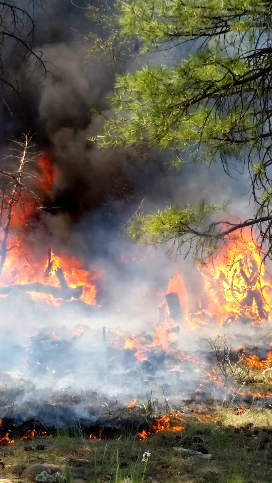 Snake Ridge Fire (May 28, 2017)