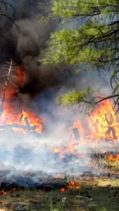 Snake Ridge Fire (May 28, 2017)