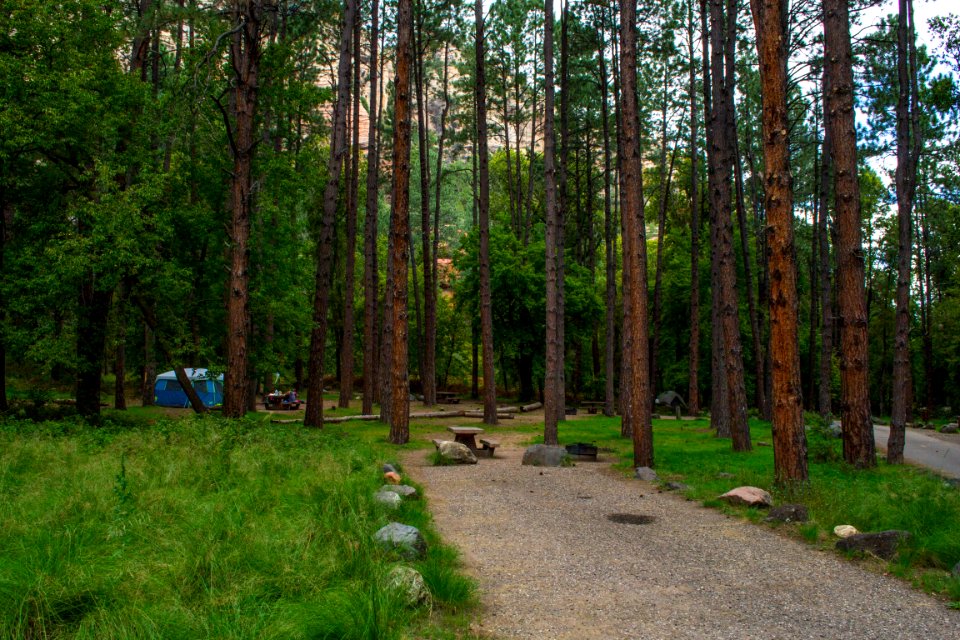 Cave Springs Campground