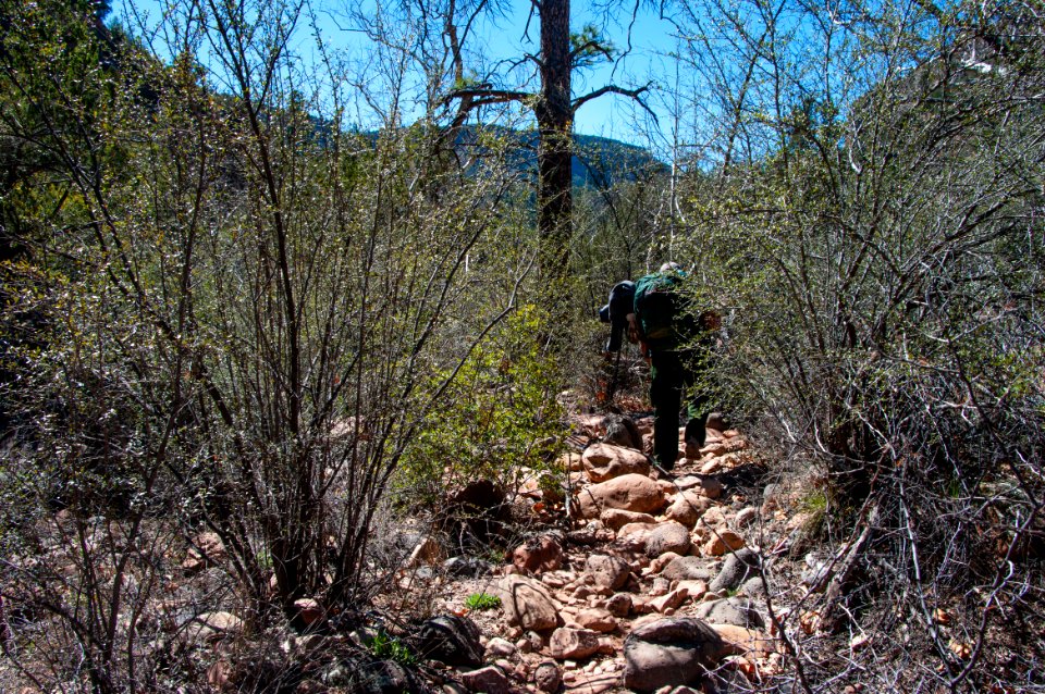Fossil Springs Trail No. 18