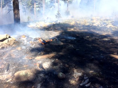 Freidlein Fire (June 19, 2017)