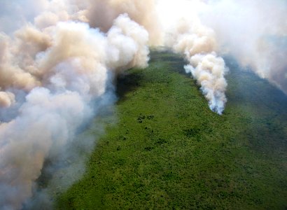 Coastal Prairie Burn35