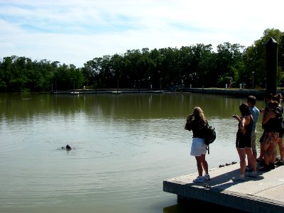 Wildlife Watching, NPSPhoto, Tim Taylor, Jan09
