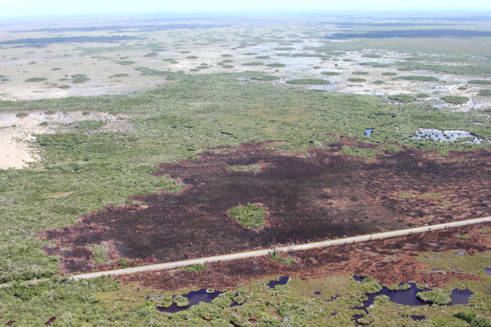 Roadside Prescribed Fire Aerial Image 1