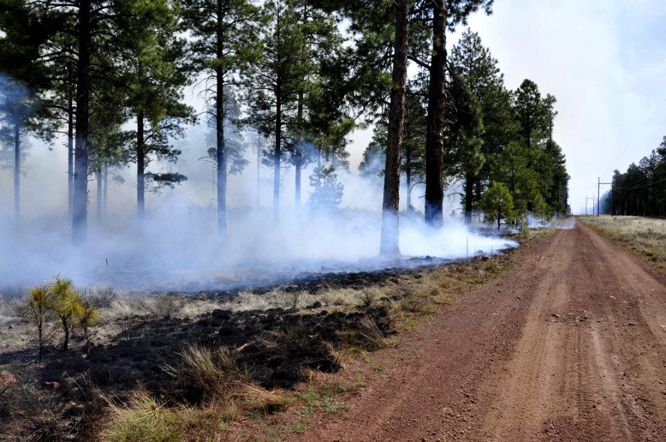 Woody Ridge Rx Burn 4-7-16