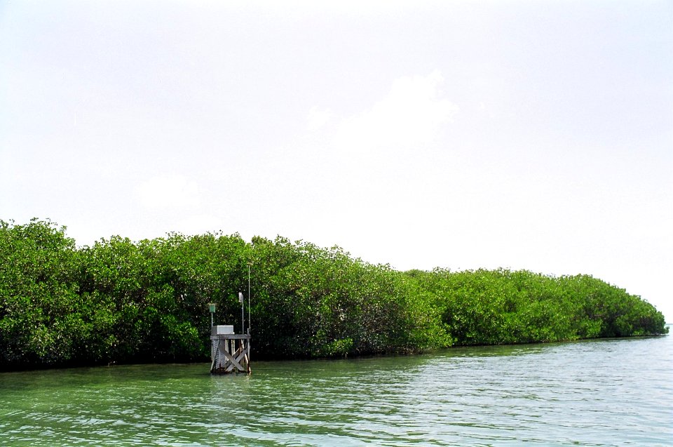 Monitoring Station in Florida Bay, NPSPhoto