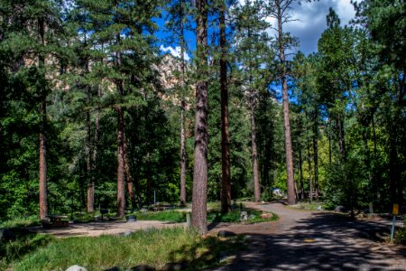 Pine Flat Campground