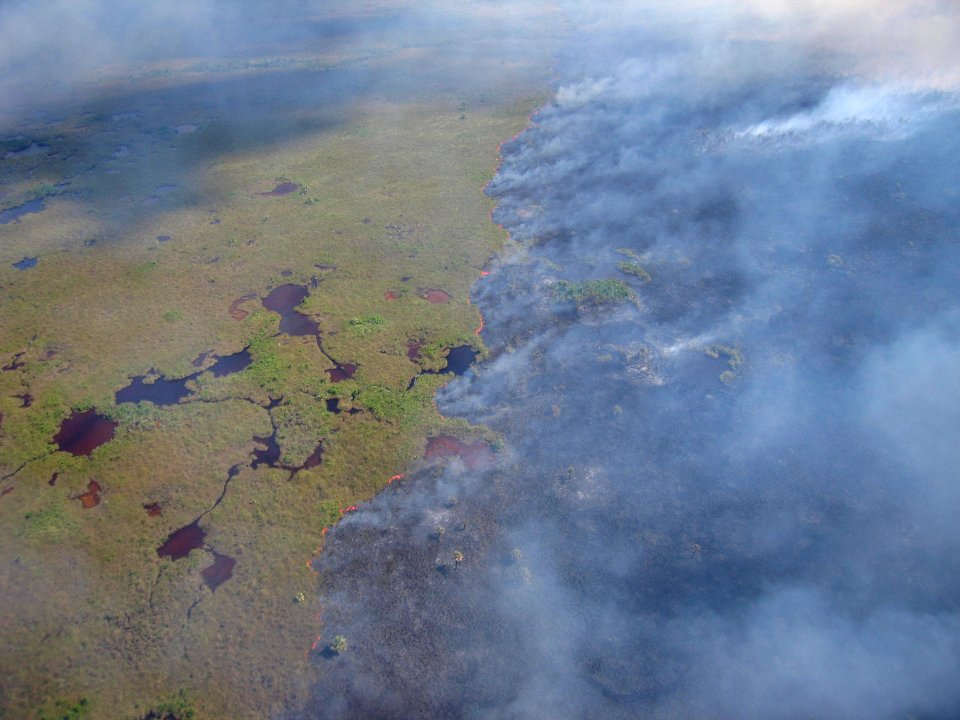 Coastal Prairie Burn36