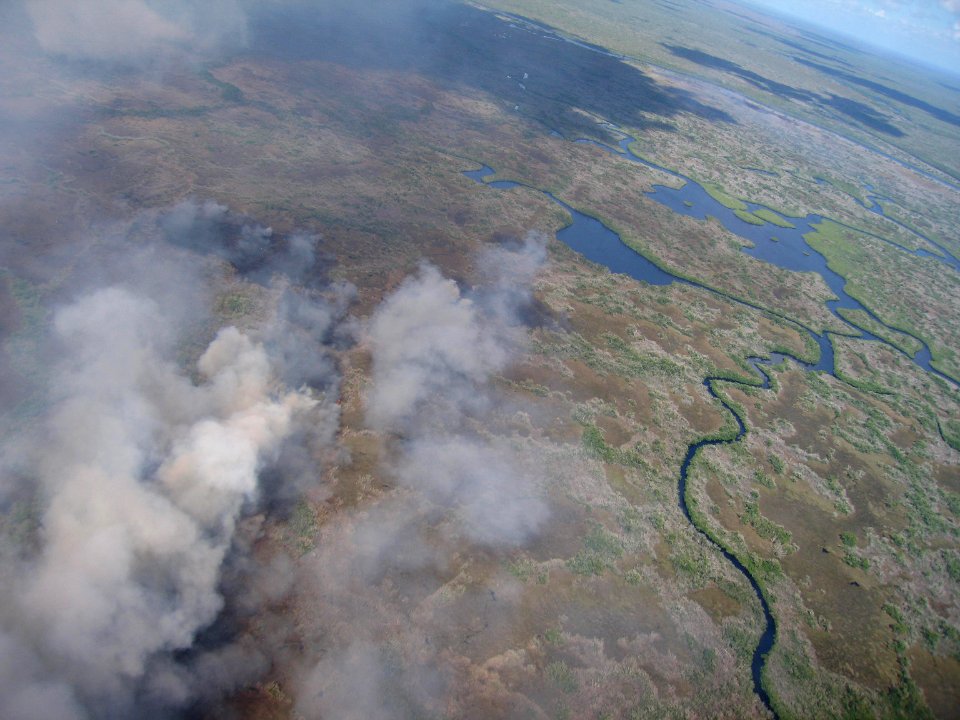 Coastal Prairie Burn46