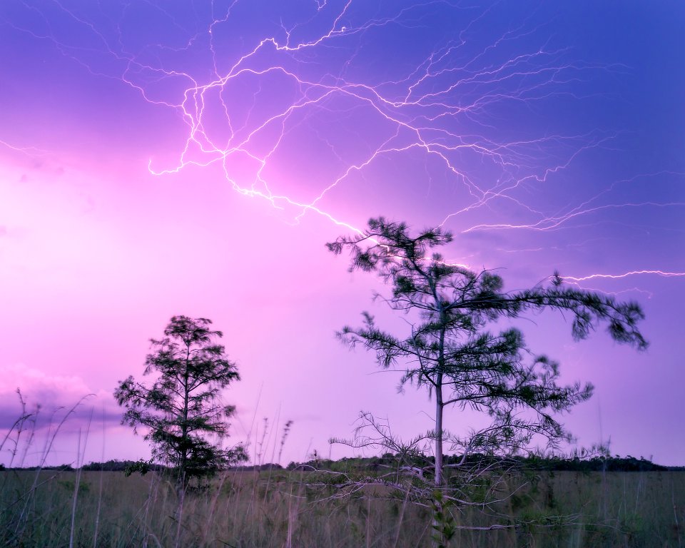 Lightning Strikes (2020 Photo Contest)