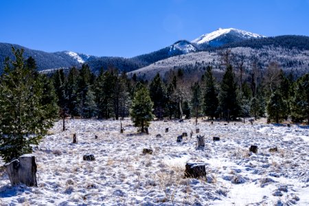 Winter 2016: San Francisco Peaks photo