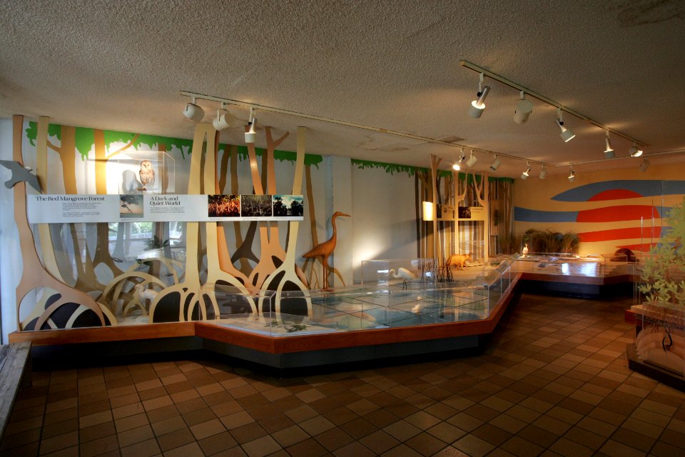 Museum in Flamingo Visitor Center