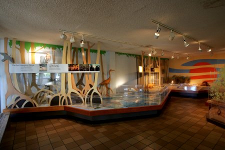 Museum in Flamingo Visitor Center