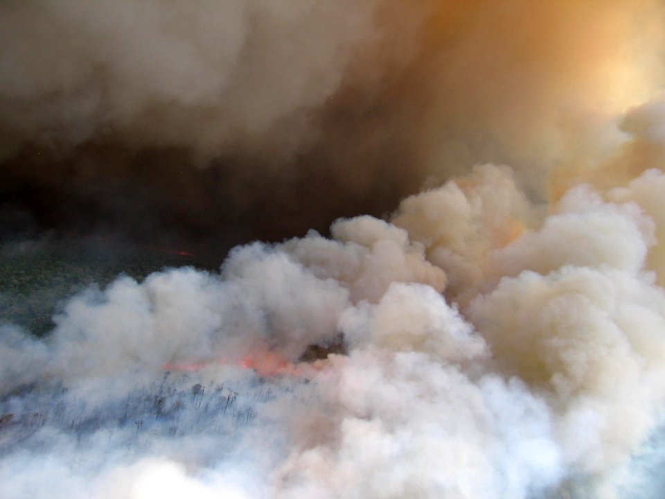 Coastal Prairie Burn31