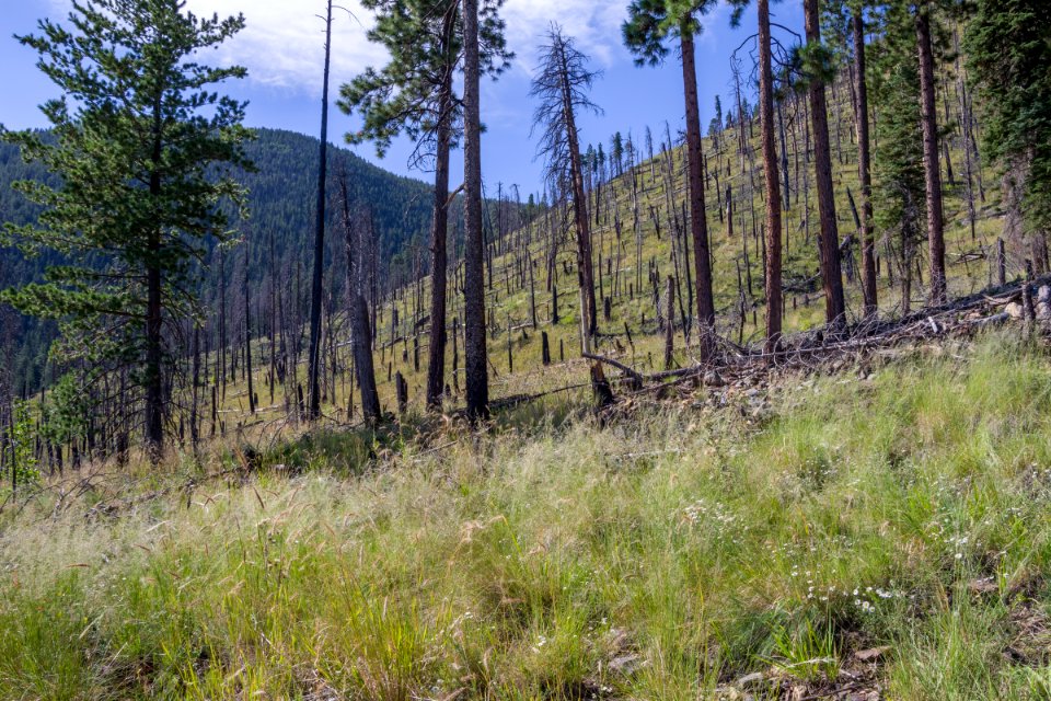 Little Bear Trail Work Day (September 10, 2016)