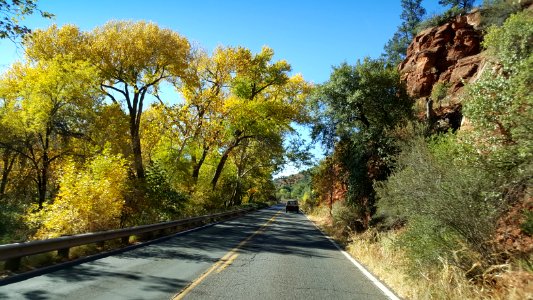 Fall Color in Oak Creek Canyon (November 8, 2017)