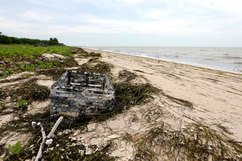 NPSPhoto M.Collier 2019 CS BeachClean crabTrap (3)