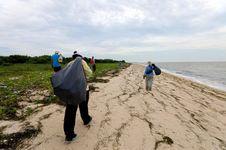 NPSPhoto M.Collier 2019 CS BeachClean