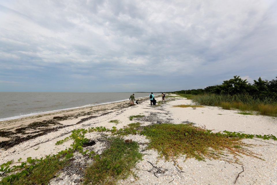NPSPhoto M.Collier 2019 CS BeachClean EastCape (1)